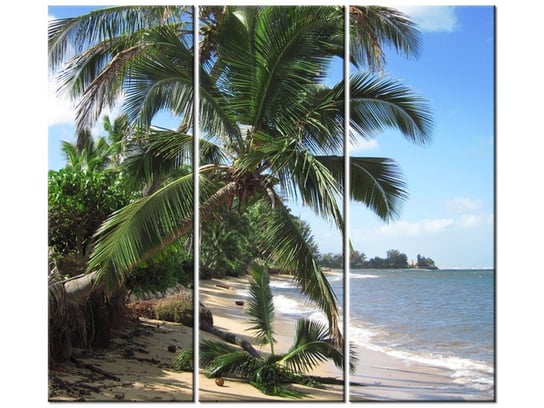 Obraz Wakacje na tropikach - Puuikibeach, 3 elementy, 90x80 cm Oobrazy