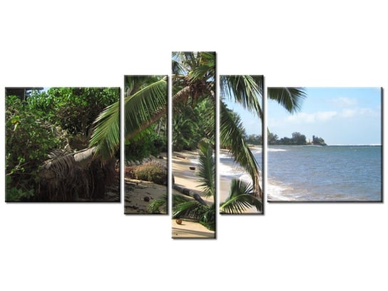 Obraz Wakacje na tropikach - Puuikibeach, 5 elementów, 160x80 cm Oobrazy
