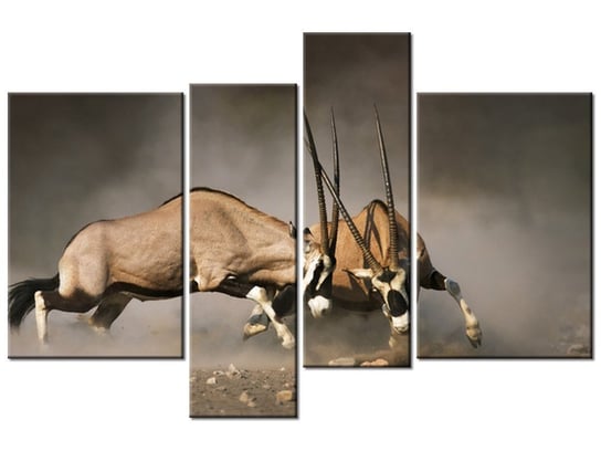 Obraz Walka gemsboków, 4 elementy, 130x85 cm Oobrazy