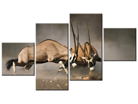 Obraz Walka gemsboków, 4 elementy, 160x90 cm Oobrazy