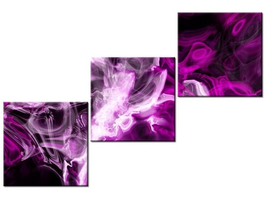 Obraz Wariacje z fioletem, 3 elementy, 120x80 cm Oobrazy
