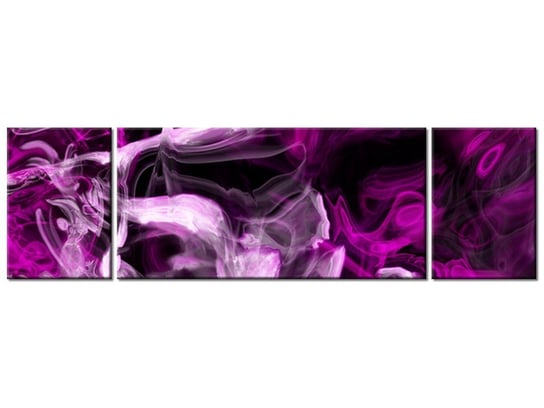 Obraz Wariacje z fioletem, 3 elementy, 170x50 cm Oobrazy