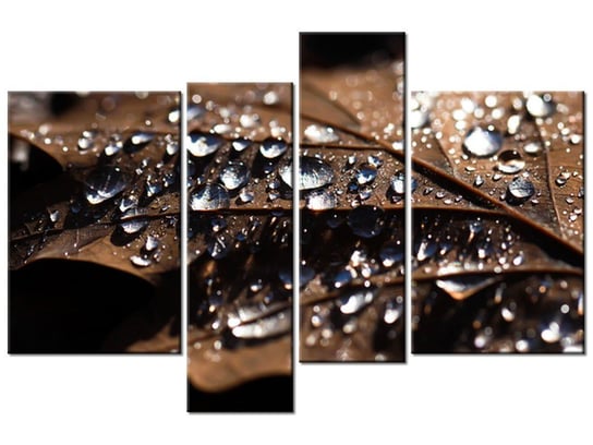 Obraz Wczesna jesień - Jenny Downing, 4 elementy, 130x85 cm Oobrazy