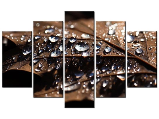 Obraz Wczesna jesień-Jenny Downing, 5 elementów, 100x63 cm Oobrazy
