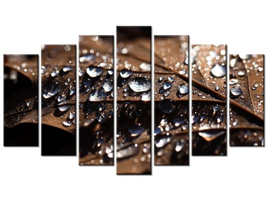 Obraz Wczesna jesień - Jenny Downing, 7 elementów, 140x80 cm Oobrazy