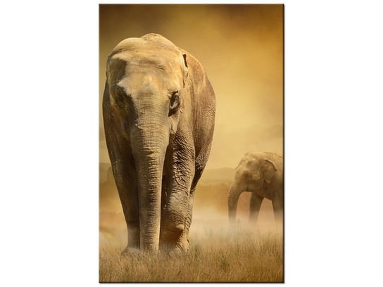 Obraz Wędrujące słonie, 20x30 cm Oobrazy