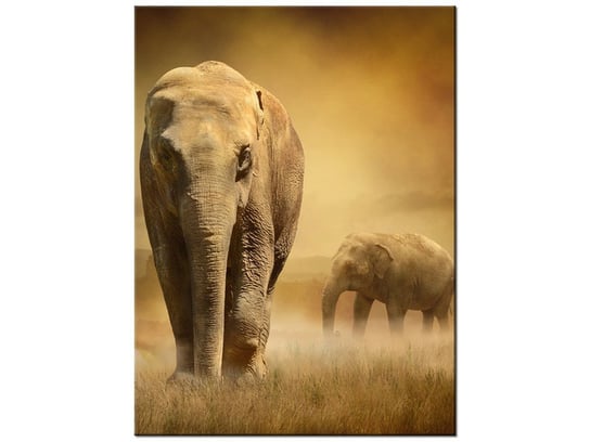 Obraz Wędrujące słonie, 30x40 cm Oobrazy