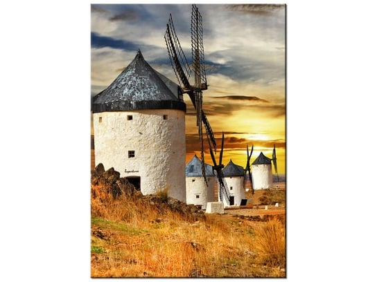 Obraz, Wiatraki w Hiszpanii, 50x70 cm Oobrazy