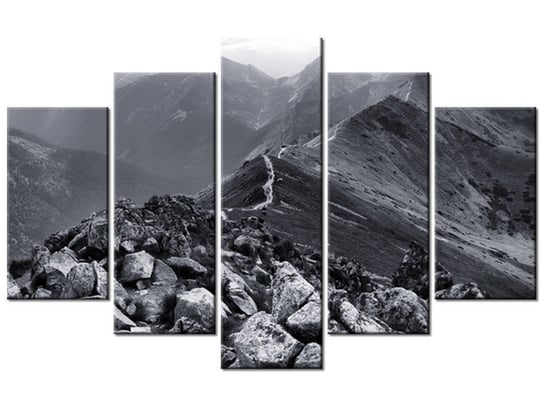 Obraz Widok górski, 5 elementów, 100x63 cm Oobrazy