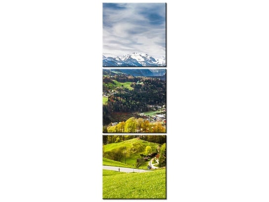 Obraz Widok na dolinę, 3 elementy, 30x90 cm Oobrazy