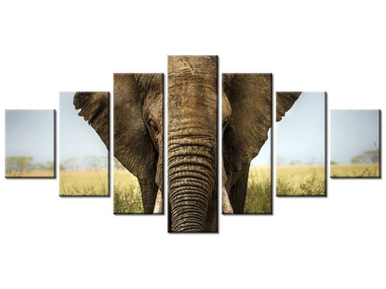 Obraz Wielki słoń, 7 elementów, 210x100 cm Oobrazy