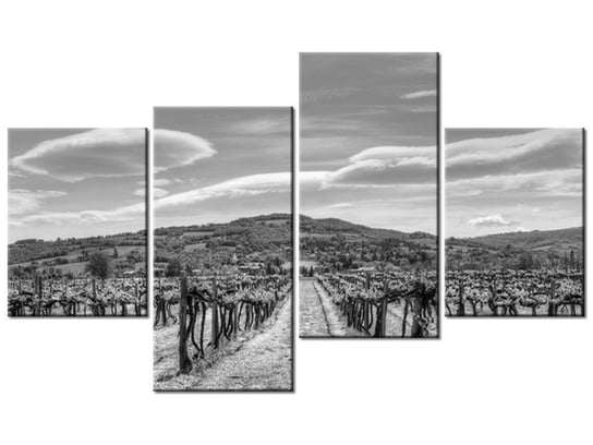Obraz Winnica - Foto di Spalle, 4 elementy, 120x70 cm Oobrazy