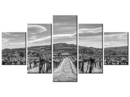 Obraz Winnica - Foto di Spalle, 5 elementów, 150x80 cm Oobrazy