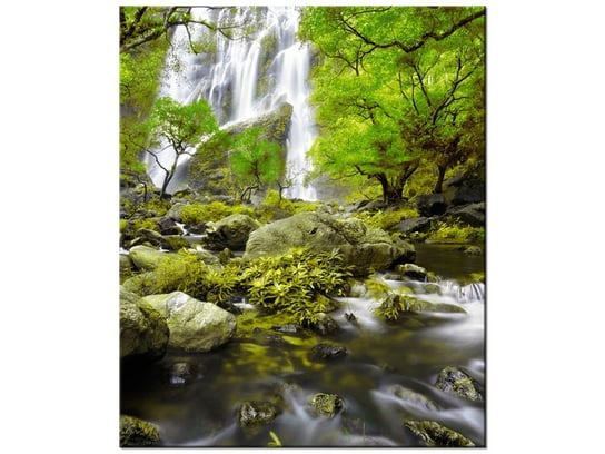 Obraz Wodospad w zieleni, 50x60 cm Oobrazy