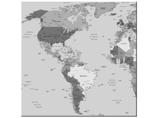 Obraz World map, 30x30 cm Oobrazy