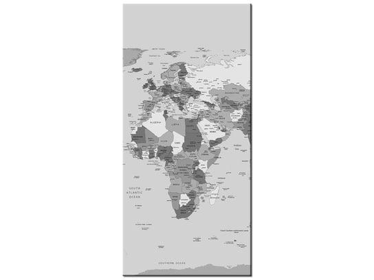Obraz World map, 55x115 cm Oobrazy