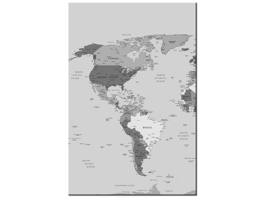 Obraz World map, 80x120 cm Oobrazy