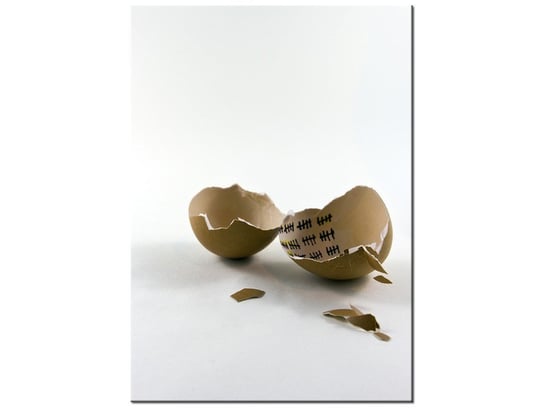 Obraz Wyjście z jajka - Gemma Stiles, 50x70 cm Oobrazy