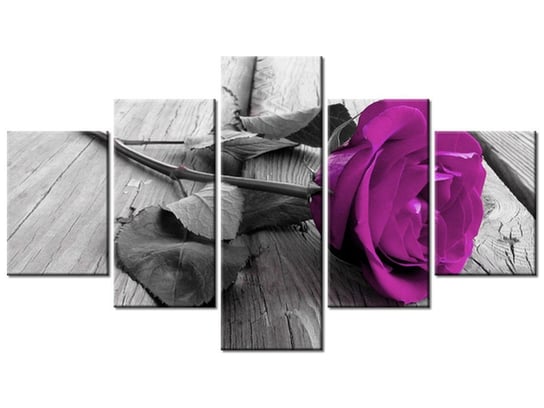 Obraz Wyrazista róża, 5 elementów, 125x70 cm Oobrazy