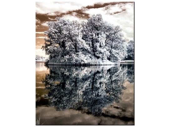 Obraz Wysepka na jeziorze, 60x75 cm Oobrazy