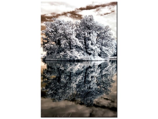 Obraz Wysepka na jeziorze, 80x120 cm Oobrazy