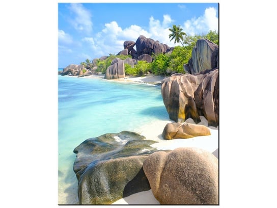 Obraz Wyspa La Digue, 40x50 cm Oobrazy