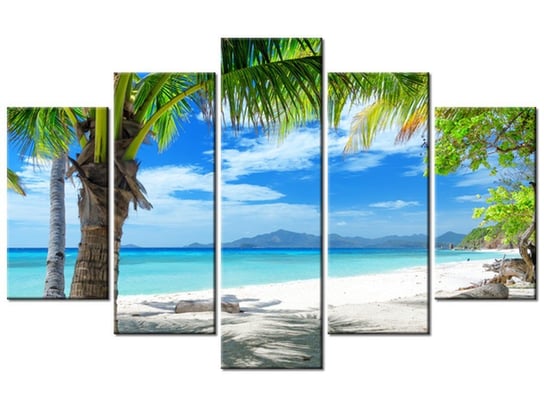 Obraz Wyspa Malcapuya, 5 elementów, 100x63 cm Oobrazy