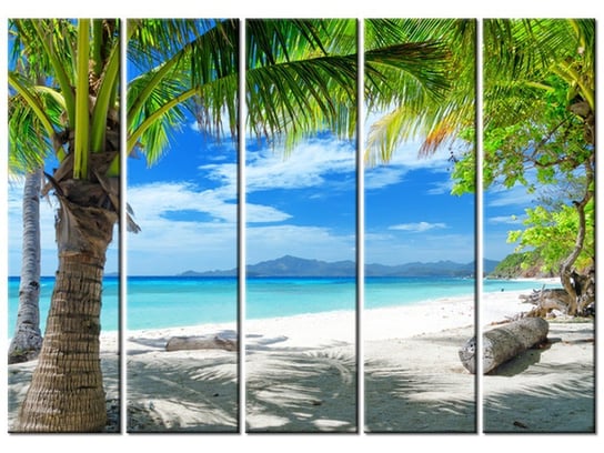 Obraz Wyspa Malcapuya, 5 elementów, 225x160 cm Oobrazy