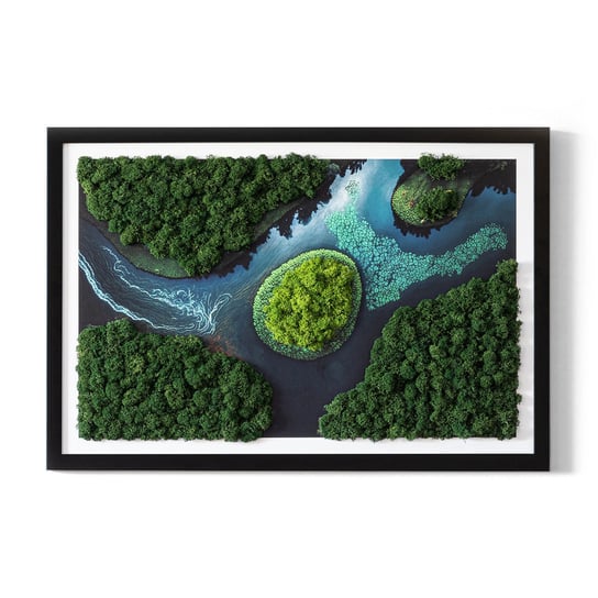 Obraz z Mchem Chrobotkiem - Wyspa na rozlewisku - 60x40 cm Tulup