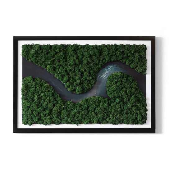 Obraz z Mchu w Ramie MDF - Rzeka w puszczy - 60x40 cm Tulup