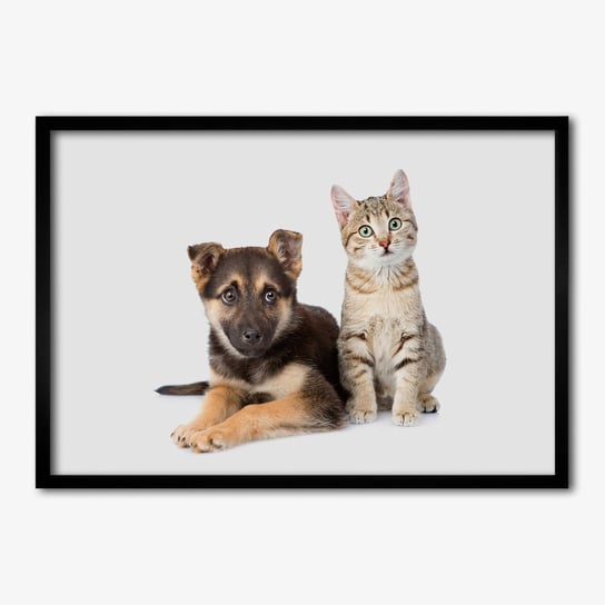 Obraz z ramką TULUP na ścianę Pies i kot 70x50 cm cm Tulup