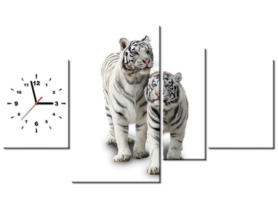 Obraz z zegarem, Białe tygrysy, 4 elementy, 120x70 cm Oobrazy