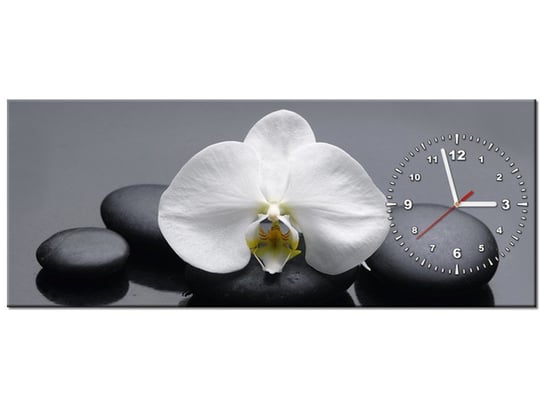 Obraz z zegarem, Biały storczyk, 1 element, 100x40 cm Oobrazy