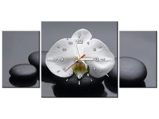 Obraz z zegarem, Biały storczyk, 3 elementy, 80x40 cm Oobrazy