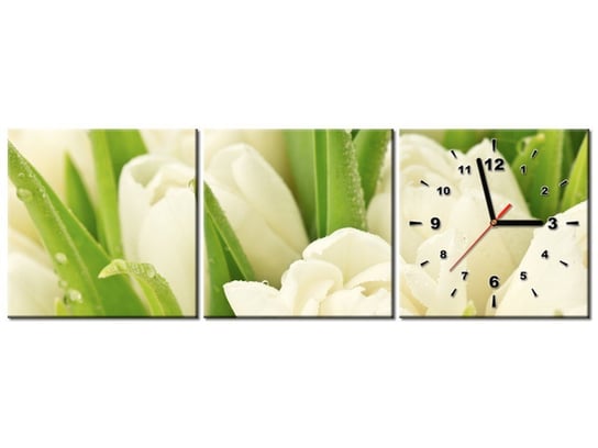 Obraz z zegarem, Delikatne tulipany, 3 elementy, 90x30 cm Oobrazy