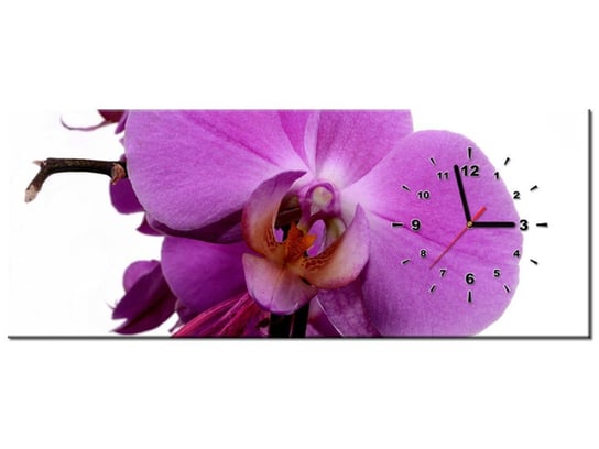 Obraz z zegarem, Fioletowy storczyk, 1 element, 100x40 cm Oobrazy