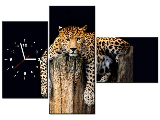 Obraz z zegarem, Lampart, 3 elementy, 100x70 cm Oobrazy