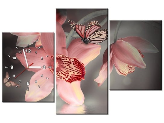 Obraz z zegarem, Motylek na storczyku, 3 elementy, 90x60 cm Oobrazy