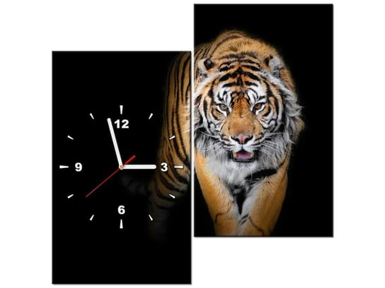 Obraz z zegarem, Tygrys, 2 elementy, 60x60 cm Oobrazy