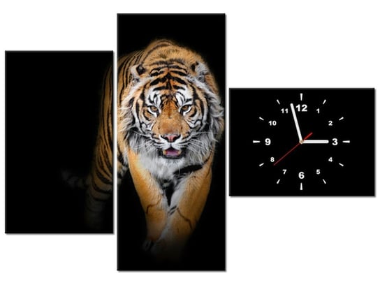 Obraz z zegarem, Tygrys, 3 elementy, 100x70 cm Oobrazy