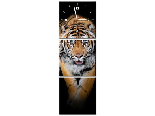 Obraz z zegarem, Tygrys, 3 elementy, 30x90 cm Oobrazy