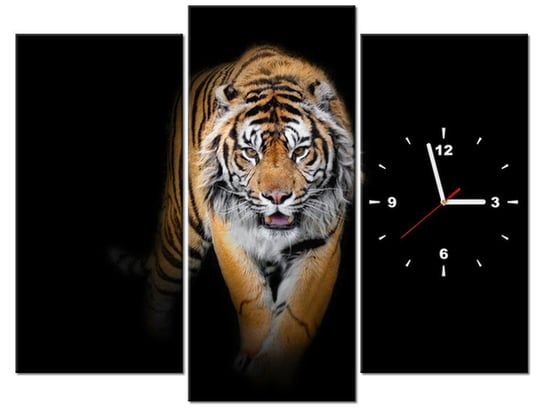 Obraz z zegarem, Tygrys, 3 elementy, 90x70 cm Oobrazy