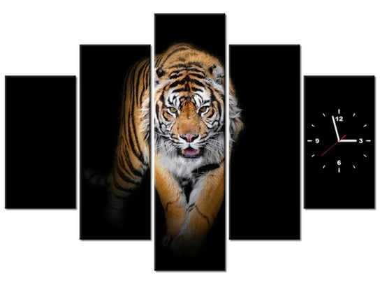 Obraz z zegarem, Tygrys, 5 elementów, 150x105 cm Oobrazy