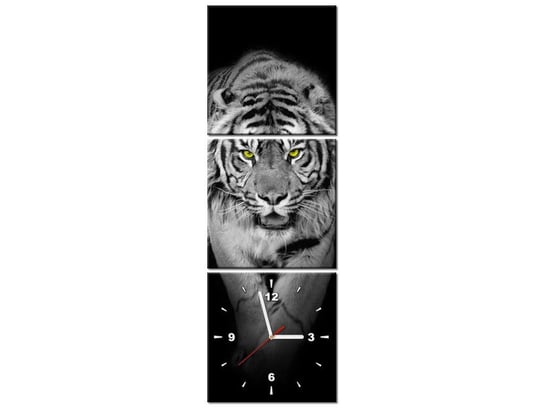 Obraz z zegarem, Tygrys w mroku, 3 elementy, 30x90 cm Oobrazy
