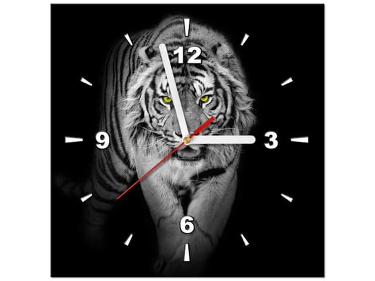 Obraz z zegarem, Tygrys w mroku, 30x30 cm Oobrazy