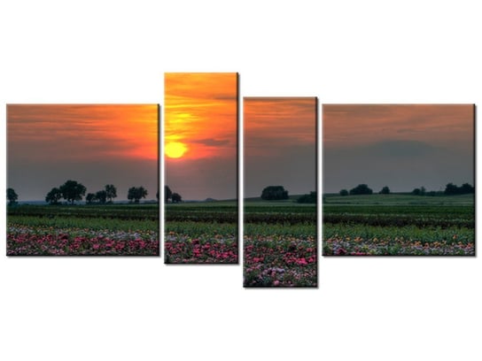 Obraz Zachód słońca nad polem kwiatów, 4 elementy, 120x55 cm Oobrazy