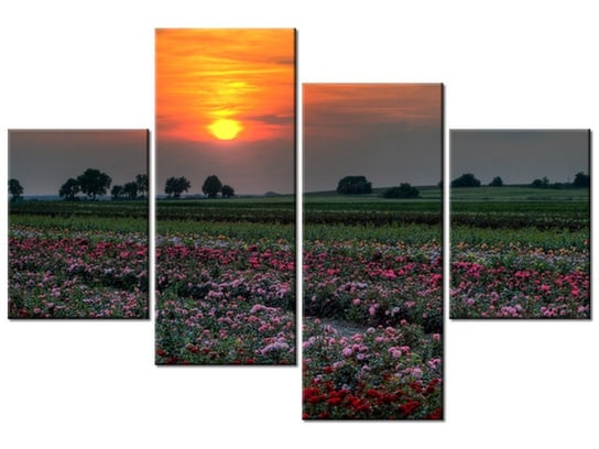 Obraz Zachód słońca nad polem kwiatów, 4 elementy, 120x80 cm Oobrazy