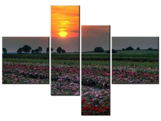 Obraz Zachód słońca nad polem kwiatów, 4 elementy, 130x90 cm Oobrazy