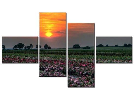Obraz, Zachód słońca nad polem kwiatów, 4 elementy, 140x80 cm Oobrazy