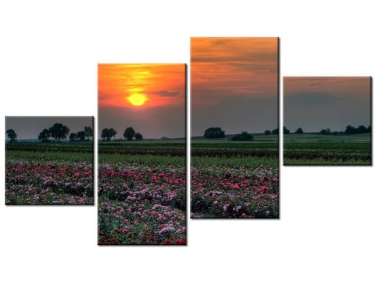 Obraz Zachód słońca nad polem kwiatów, 4 elementy, 160x90 cm Oobrazy
